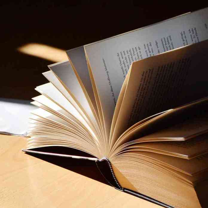 Open book with pages fanned out, perhaps a thriller, fantasy or even literary fiction.